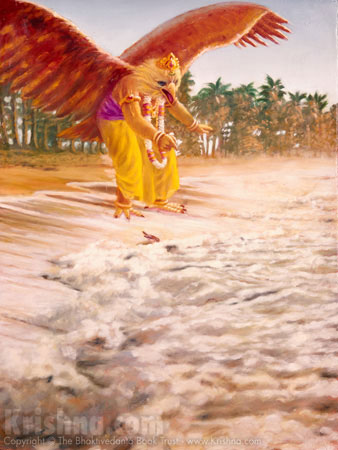 Animal story: Power of determination – Garuda and small bird