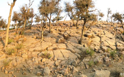 Vrindavan story: The power and glory of Govardhana Hill!
