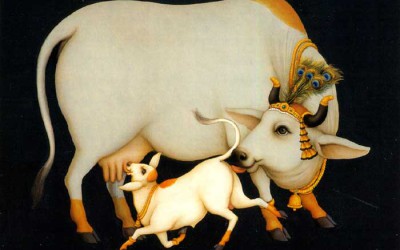 Vrindavan lila: Krishna released calf to get cow milk!