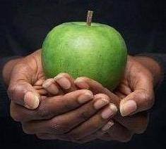 Read more about the article Apple from God