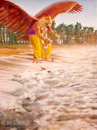 Read more about the article Power of determination – Garuda and small bird