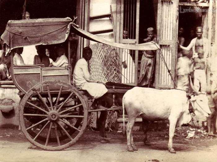 You are currently viewing The Story of Raikva – The Cart Driver and giver