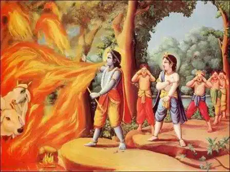 Read more about the article Kṛṣṇa Swallows the Forest Fire