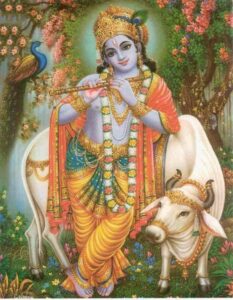 Read more about the article Prabodhini (Hariprabodhini or Devotthāna) Ekadasi (Kārttika Śukla Pakṣa)