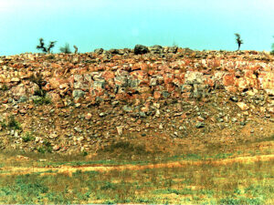 Read more about the article Śrī Vrajavāsī Bābājī