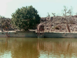 Read more about the article Śrī Haridāsa Bābājī Mahārāja