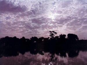 Read more about the article Śrī Vāsudeva Bābājī Mahārāja