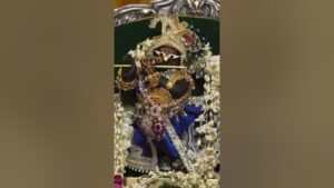 Read more about the article Lokanātha Gosvāmī and Thākura Rādhāvinoda